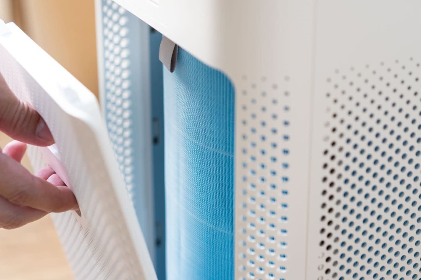 Air Filter vs. Air Purifier Which One is Right for You? Sanalife